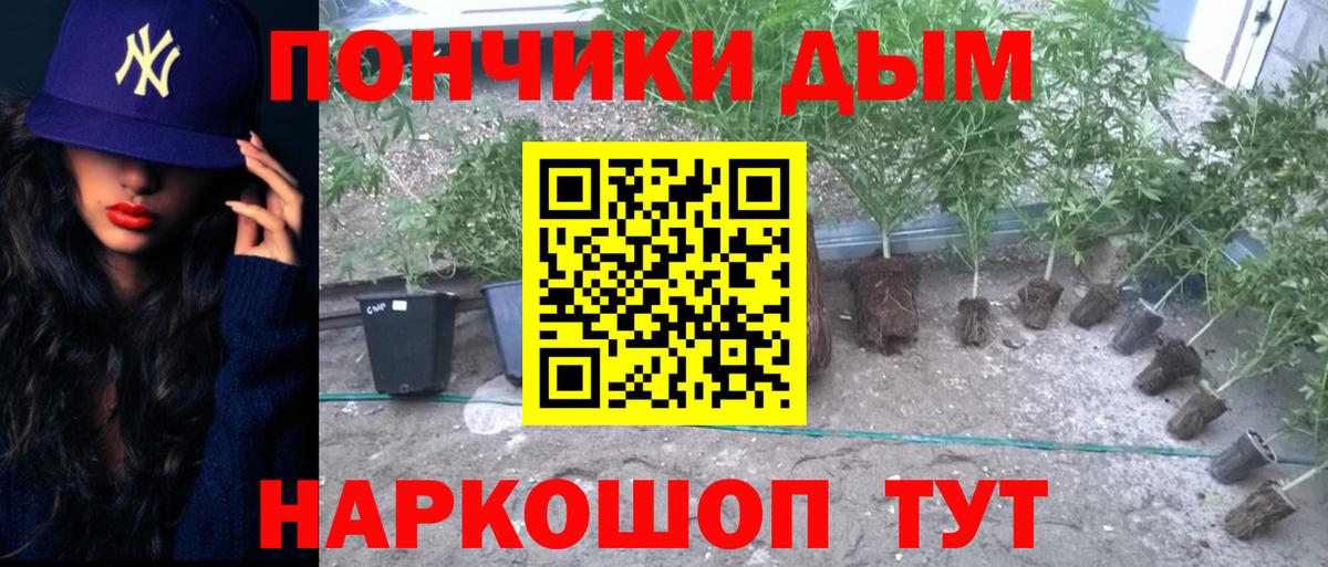 МАРИХУАНА MAZAR  Каннабис SATIVA & INDICA  Вход с VPN  Бердск 